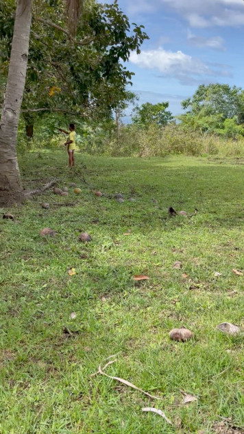 Agricultural Land In Gasan, Marinduque (CLEAN TITLE)