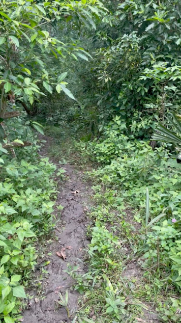 Agricultural Land In Gasan, Marinduque (CLEAN TITLE)