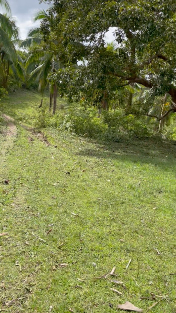 Agricultural Land In Gasan, Marinduque (CLEAN TITLE)