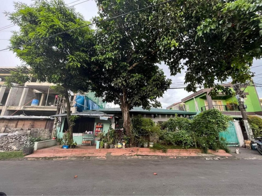 405 SQM Lot In Don Enrique Heights, Quezon City