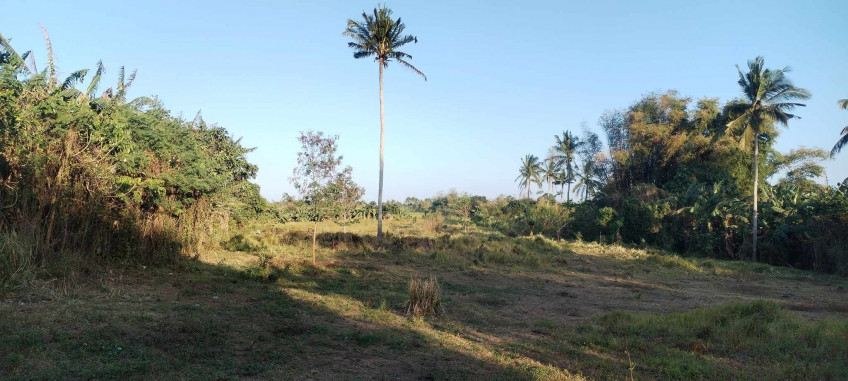 Agricultural Lot For Sale In Silang, Cavite