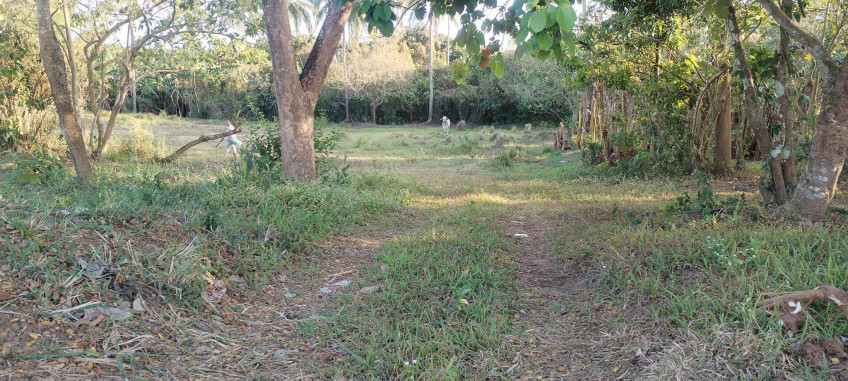 Agricultural Lot For Sale In Silang, Cavite