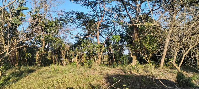 Agricultural Lot For Sale In Silang, Cavite