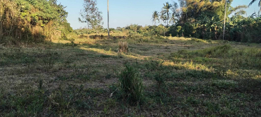 Agricultural Lot For Sale In Silang, Cavite