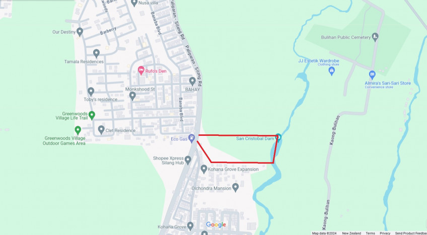 Agricultural Lot For Sale In Silang, Cavite