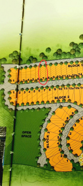 300 SQM Titled Commercial Lot In Boracay For Sale!