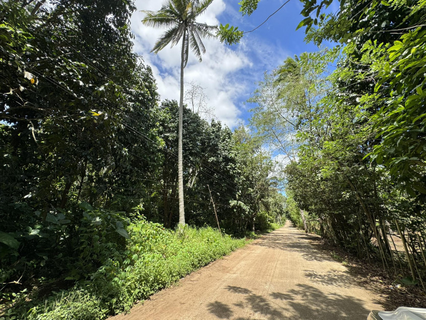 Farm Lot For Sale At Dacudao, Calinan Davao City