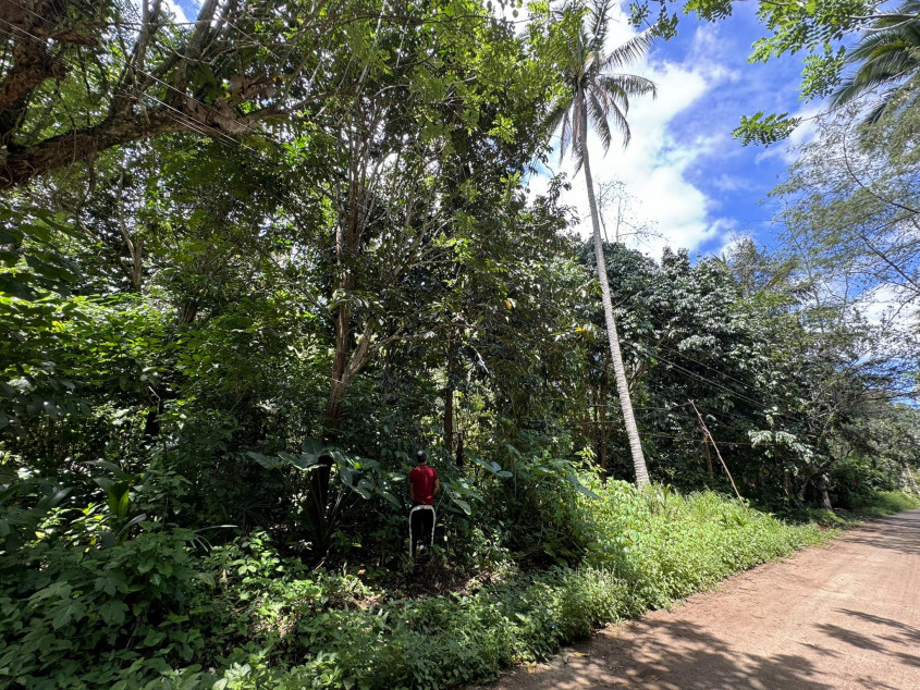 Farm Lot For Sale At Dacudao, Calinan Davao City