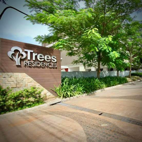 1 Bedroom For Rent In Trees Residences Fairview Quezon City Ideal for Family, Bachelor or Students