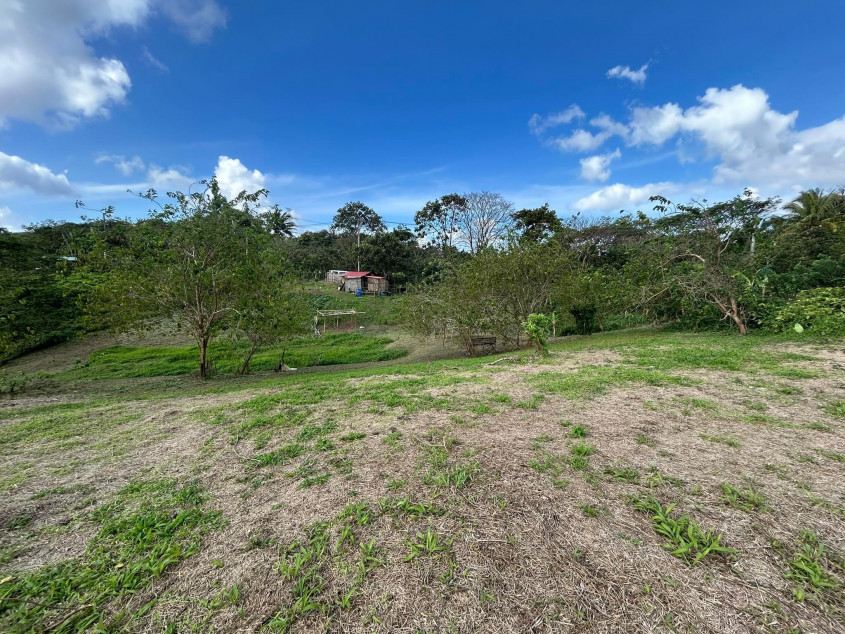 Farm Land For Sale In Kalayaan, Laguna