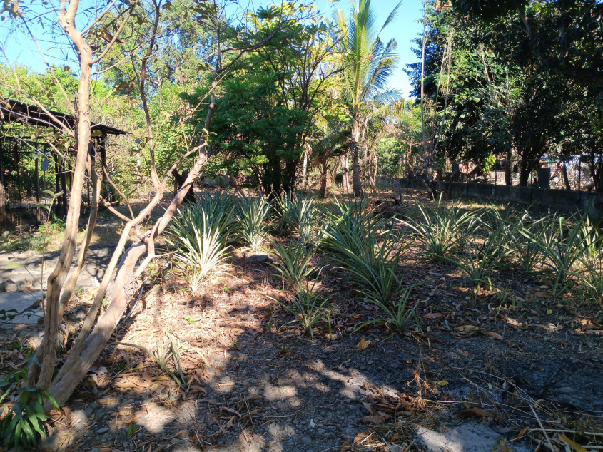 4,105 SQM With 40 Meters Frontage Commercial And/Or Residential Lot For Sale In Nueva Ecija