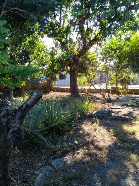 4,105 SQM With 40 Meters Frontage Commercial And/Or Residential Lot For Sale In Nueva Ecija