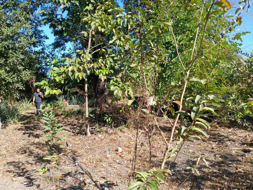 4,105 SQM With 40 Meters Frontage Commercial And/Or Residential Lot For Sale In Nueva Ecija