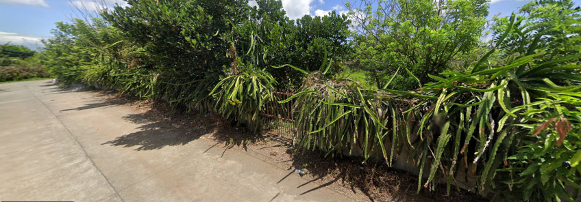 1,700 SQM Agricultural Land For Sale With Fruit Trees In Silang, Cavite