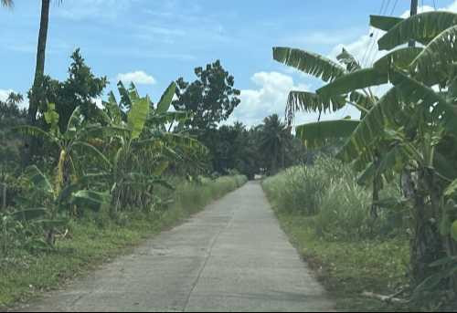 3.6 Hectares Agricultural Farm Land For Sale In Samar