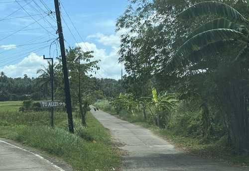 3.6 Hectares Agricultural Farm Land For Sale In Samar