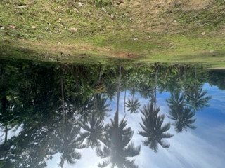 3.6 Hectares Agricultural Farm Land For Sale In Samar