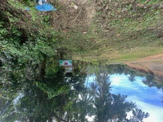 3.6 Hectares Agricultural Farm Land For Sale In Samar