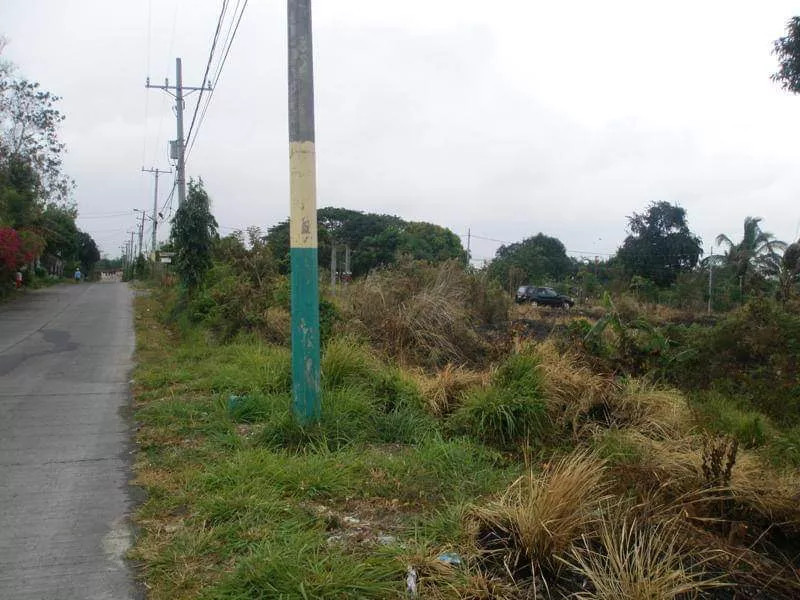 Residential Lot In South Plains Executive Village, Dasmariñas, Cavite