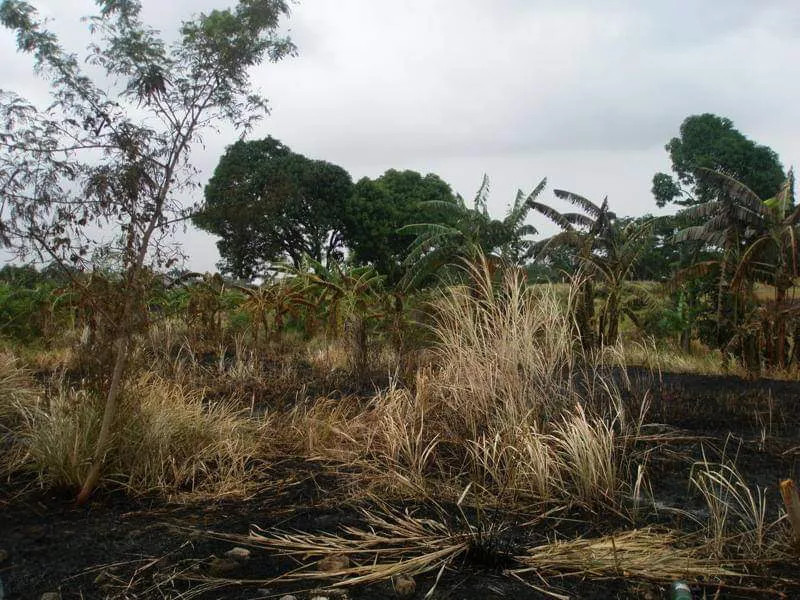 Residential Lot In South Plains Executive Village, Dasmariñas, Cavite