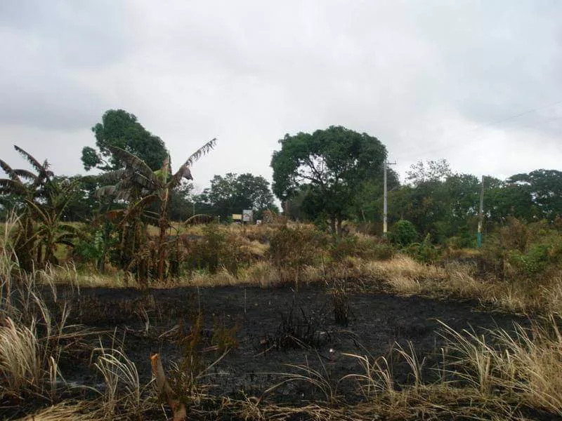 Residential Lot In South Plains Executive Village, Dasmariñas, Cavite