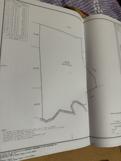 2 Hectares Farm Lot For Sale In Albay