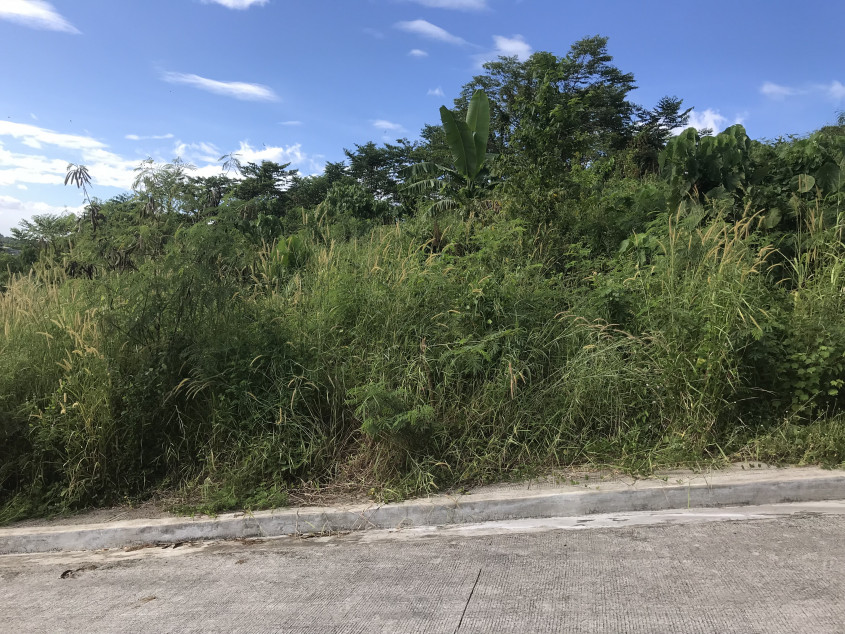 186 SQM Lot For Sale Summerhills Executive Subdivision Antipolo