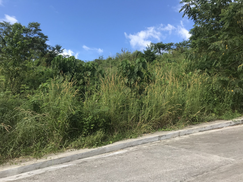 186 SQM Lot For Sale Summerhills Executive Subdivision Antipolo