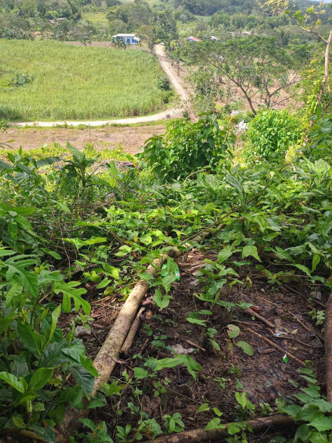 Land Property For Sale In Bingawan, Iloilo