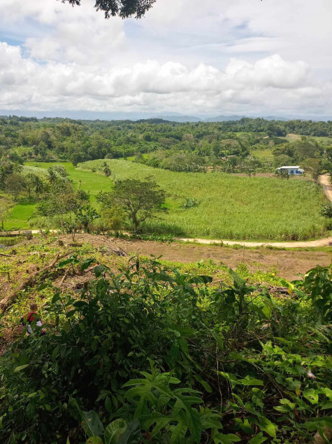 Land Property For Sale In Bingawan, Iloilo