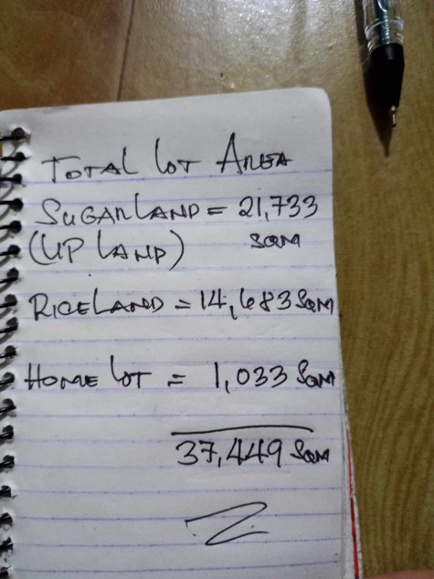 Land Property For Sale In Bingawan, Iloilo