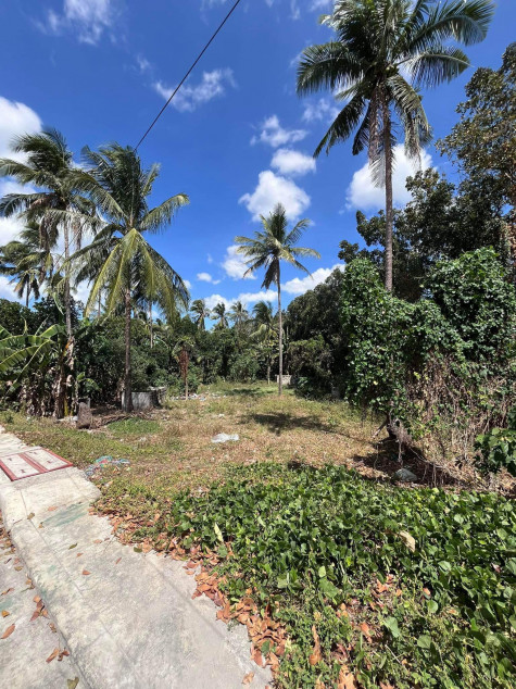 Batangas Malvar Commercial Lot For Sale