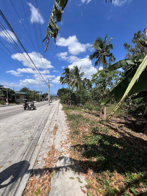 Batangas Malvar Commercial Lot For Sale