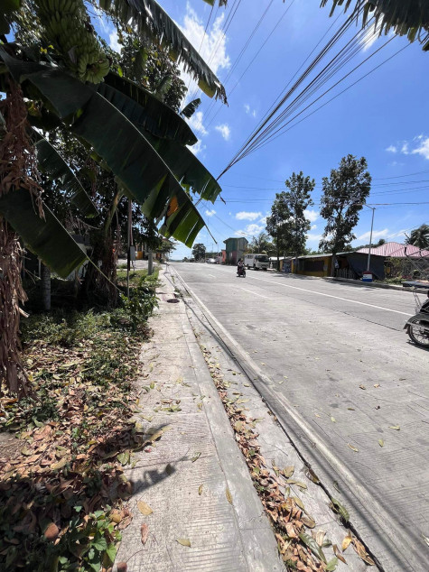 Batangas Malvar Commercial Lot For Sale