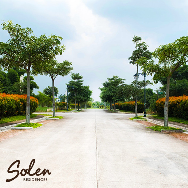 Lot For Sale (Solen Residences-Greenfield City Sta. Rosa Laguna)