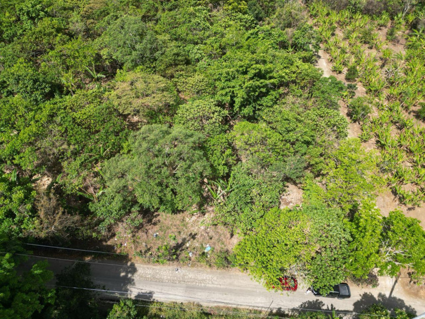 5,000 SQM Lot For Sale In Mendez, Cavite