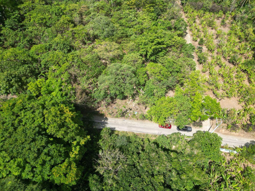 5,000 SQM Lot For Sale In Mendez, Cavite