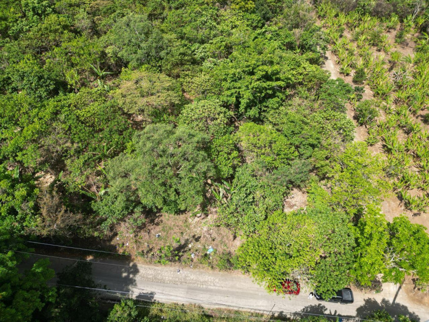 5,000 SQM Lot For Sale In Mendez, Cavite