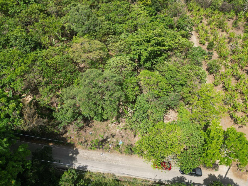 5,000 SQM Lot For Sale In Mendez, Cavite