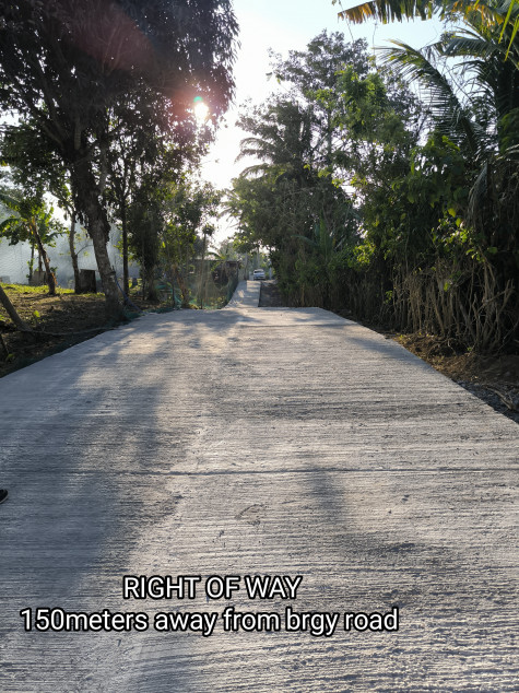 Residential Farm Lot In Amadeo, Cavite