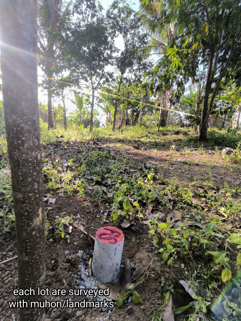 Residential Farm Lot In Amadeo, Cavite