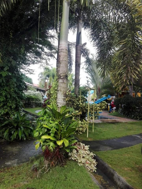 Resort And Theme Park For Sale In Oriental Mindoro