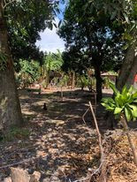 2000 SQM Residential Lot For Sale In Misamis Oriental