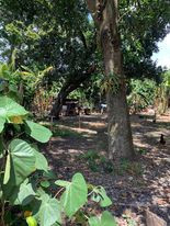 2000 SQM Residential Lot For Sale In Misamis Oriental