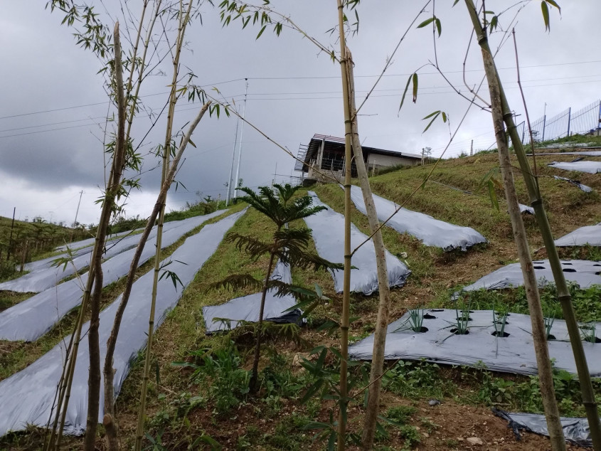 For Sale 1,000 SQM Farm Resort In Cantipla, Cebu City