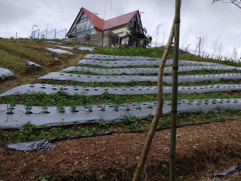 For Sale 1,000 SQM Farm Resort In Cantipla, Cebu City