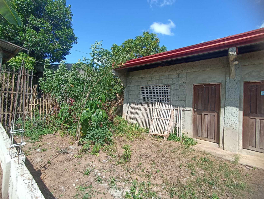 House & Lot For Sale - 2 Bedroom In Pilar Capiz