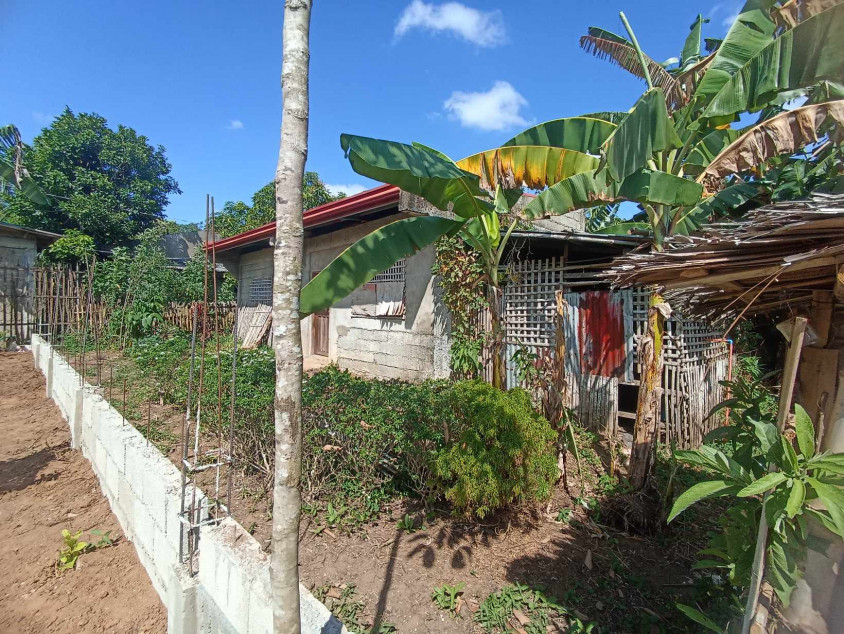 House & Lot For Sale - 2 Bedroom In Pilar Capiz