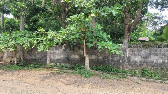 800 SQM Lot For Sale In Dasmariñas, Cavite