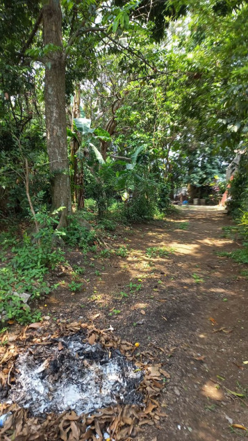 800 SQM Lot For Sale In Dasmariñas, Cavite